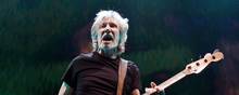 Roger Waters kommer til Danmark i august. Foto: Chris Pizzello/AP