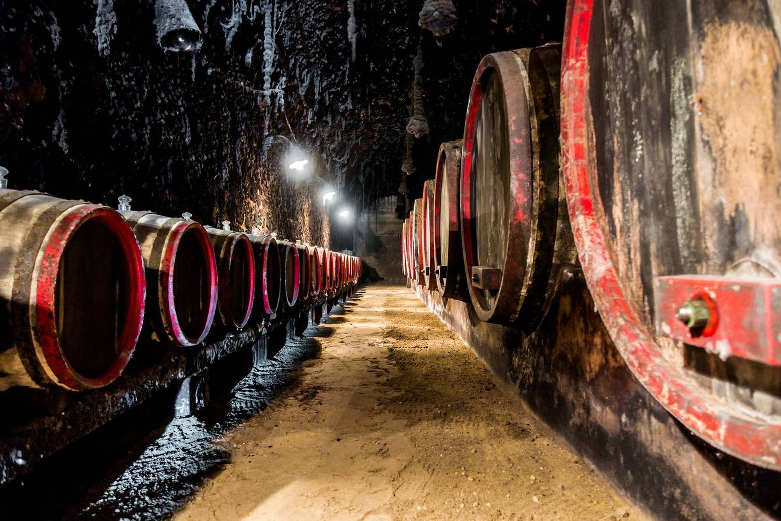I kældrene i Tokaj kan man finde, hvad Ludvig den 15. yndede at kalde for »kongernes vin, vinens konge.« Foto: Getty Images