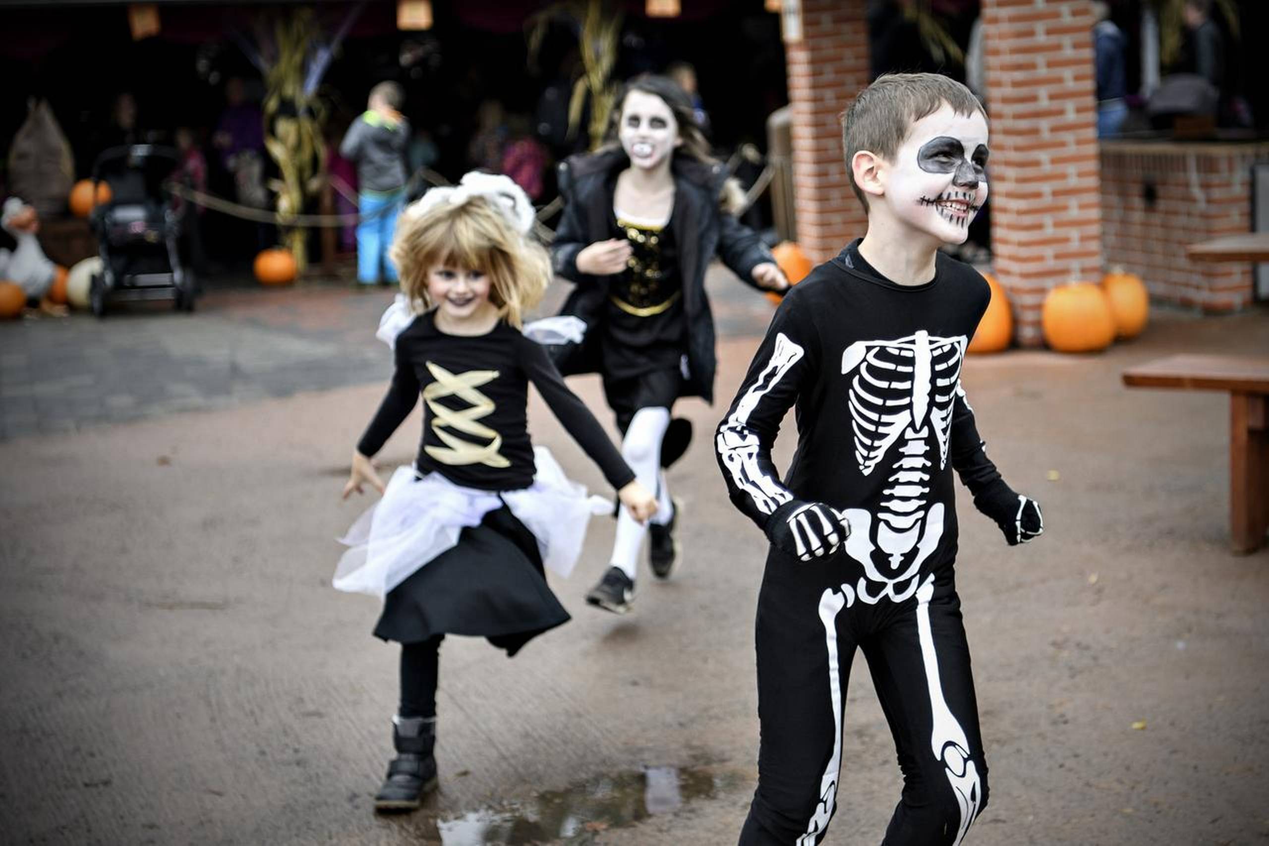 Det er ottende gang, at Djurs Sommerland holder Magisk Halloween.