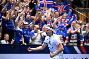 To af verdens bedste håndboldspillere er fra Island, og derfor bør man holde særligt øje med islændingene ved VM, mener flere danske landsholdsspillere.