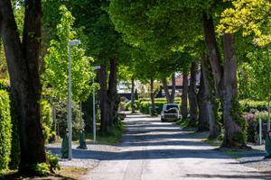 Silkeborg Kommune kalder sig Danmarks Outdoor Hovedstad. Noget tyder dog på, at byrådets beslutninger spænder ben for ambitionen.