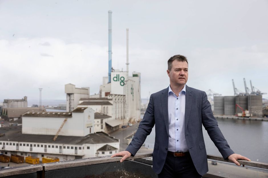 Artiklens øverste billede