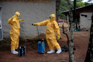 Indsatsen skal koordineres via en ny, central enhed, og EU-lande ventes senere på ugen på et topmøde i Bruxelles at udnævne en ebolakoordinator til at stå i spidsen for arbejdet.