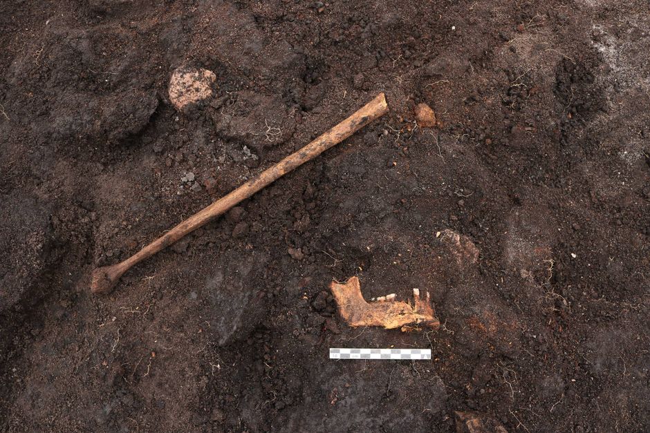 Arkæologer fra Romu har ved udgravninger i Egedal fundet et moselig, de mener stammer fra en rituel ofring.
