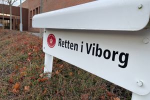 Overgrebene fandt ifølge sigtelsen sted i Viborg midtby.