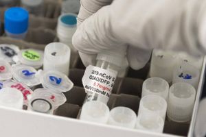 AstraZeneca udvikler vaccinekandidaten i samarbejde med Oxford University. Foto: AFP.