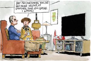 Hjælpen har bestået i alt fra genstart af router til nulstilling af tv-boks, gendannelse af fabriksindstillinger på tv og senest fremsendelse af ny tv-boks. Men det virkede ikke.