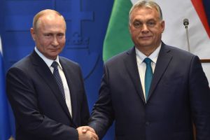 Parlamentsvalget kan give genvalg til nationalkonservative Viktor Orbán, der under Ukraine-krigen har balanceret mellem Moskva og Vesten.