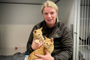Internatleder Lise Svejgaard har aldrig tidligere oplevet, at det har været så svært at komme af med kattene igen. 